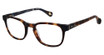 ROBERT GRAHAM FITZGERALD Eyeglasses