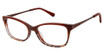 Isaac Mizrahi New York Eyeglasses IM 30037 BROWN/BR