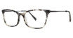 Seraphin BIRMINGHAM GRAY CLOUD TORTOISE