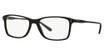 Polo PH2155 Eyeglasses