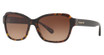 COACH Eyeglasses HC8232 L1010 DARK TORTOISE/550713