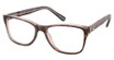 COACH Eyeglasses HC6129 TORTOISE ON TRANSPARENT/5727