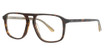 Calvin Klein Eyeglasses model CK20529