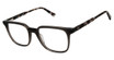 Cruz Eyeglasses Taunton Rd Grey/GREY