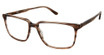 XXL Eyewear Tuga Brown Horn/BROWN HORN