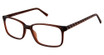 New Globe Eyeglasses M447 Brown/BROWN