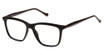New Globe Eyeglasses M450 Black/BLACK