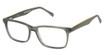Cruz Eyeglasses Woodley Ave Olive/OLIVE