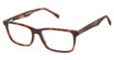Cruz Eyeglasses Woodley Ave Tortoise/TORTOISE