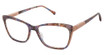 Alexander Collection Eyeglasses Maya Summer/SUMMER