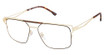 XXL Eyewear Eyeglasses Dynamo Gold/GOLD
