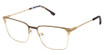 XXL Eyewear Eyeglasses Swarm Gold/GOLD