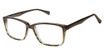 New Globe Eyeglasses M454 Forest/FOREST