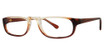Modern Plastics I Eyeglasses Overview brown