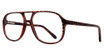 Eye Q Eyewear Eyeglasses Oxford Tortoise