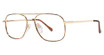 Modern Metals Eyeglasses Gary demi amber