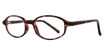Eye Q Eyewear Eyeglasses SW320 Tortoise