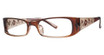 Modern Plastics II Eyeglasses Sadie brown