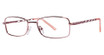 Modern Metals Eyeglasses Bria rose