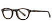 Deja Vu Eyeglasses 9002 Tortoise/Horn