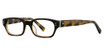 Deja Vu Eyeglasses 9003 Black/Tortoise