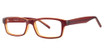 Value Eyeglasses SOHO 1015 Brown/Brown
