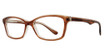 Eye Q Eyewear Eyeglasses GTN770 Brown/BROWN
