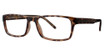 Eye Q Eyewear GTN774 Amber