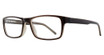 Eye Q Eyewear GTN774 Charcoal