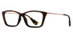 Eye Q Eyewear GTN775 Tortoise