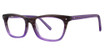 Fashiontabulous Eyeglasses 10x241 brown/lilac