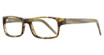 Elan Collection Eyeglasses 3018 Tortoise