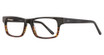 Elan Collection Eyeglasses 3019 Demi/Black