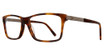 Eye Q Eyewear Eyeglasses AP175 Amber