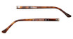 Art-Craft Eyeglasses Clubman Temples Silver Sheet Amber Tortoise/51758