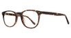 Eye Q Eyewear Eyeglasses MP402 Tortoise/TORTOISE