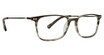 Life is Good Eyeglasses Robin Black Horn/BLH