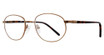 Eye Q Eyewear Eyeglasses GTN792 Brown/BROWN