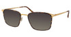Modo Eyeglasses 683 Tort/TORT