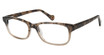 MY LITTLE PONY Eyeglasses HONESTY TORTOISE/TOR