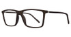 Eye Q Eyewear GTN789 Grey/CHARCOAL