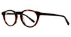 Global Optique Eyeglasses TF1116 Tortoise