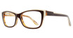Eye Q Eyewear Eyeglasses MP202 Brown/BROWN/TAN