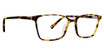 Life is Good Eyeglasses Taylor Tortoise/TOR