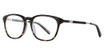 Takumi TK1061 Demi Amber & Black/10