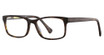 Ernest Hemingway 4807 Matt Tortoise