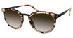 Modo Eyeglasses 453 Milky Tortoise/MLKTT