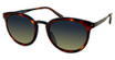 Modo Eyeglasses 453 Tortoise/TORT