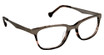 Classique Eyewear Eyeglasses TIGGLE LICORICE/C2