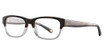 Glen Lane CAMPAU TORTOISE/TOC